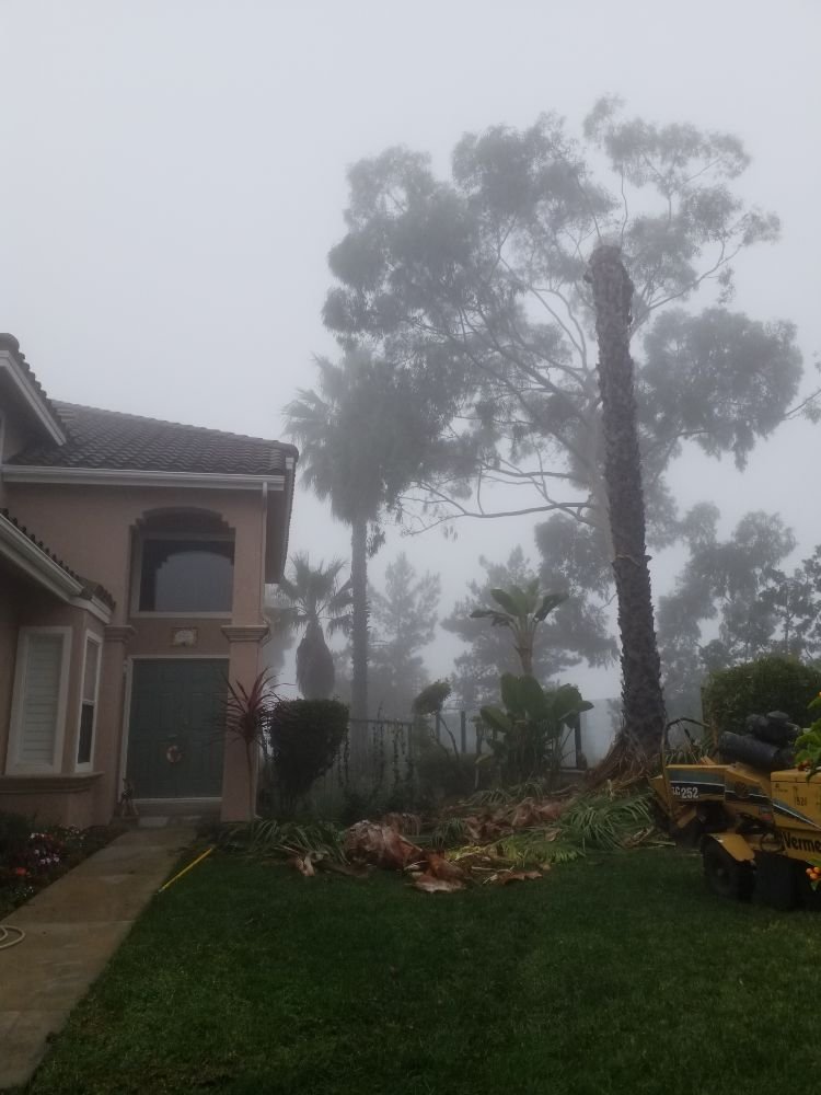 Getting The Job Done Even In Rough Conditions - 