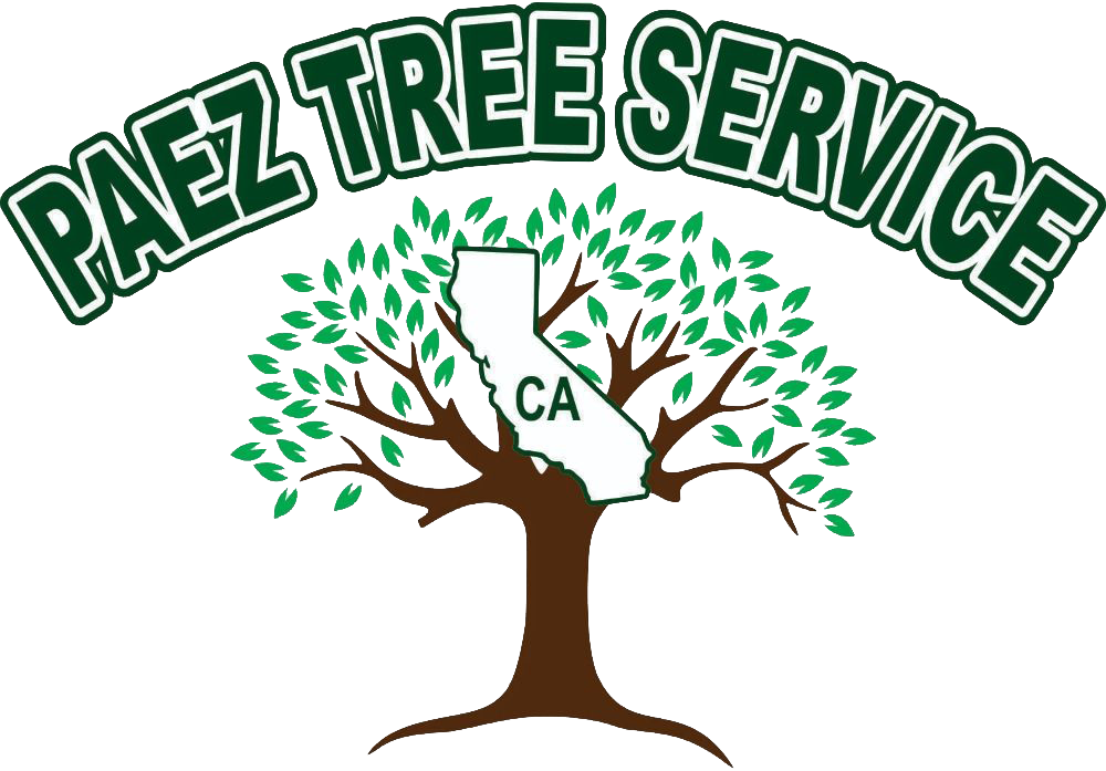 Paez-Tree-Service-Logo