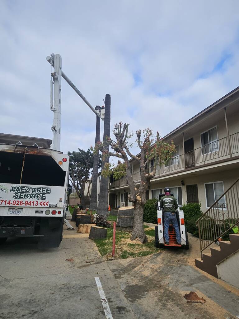 Safety Is Our Top Priority - 