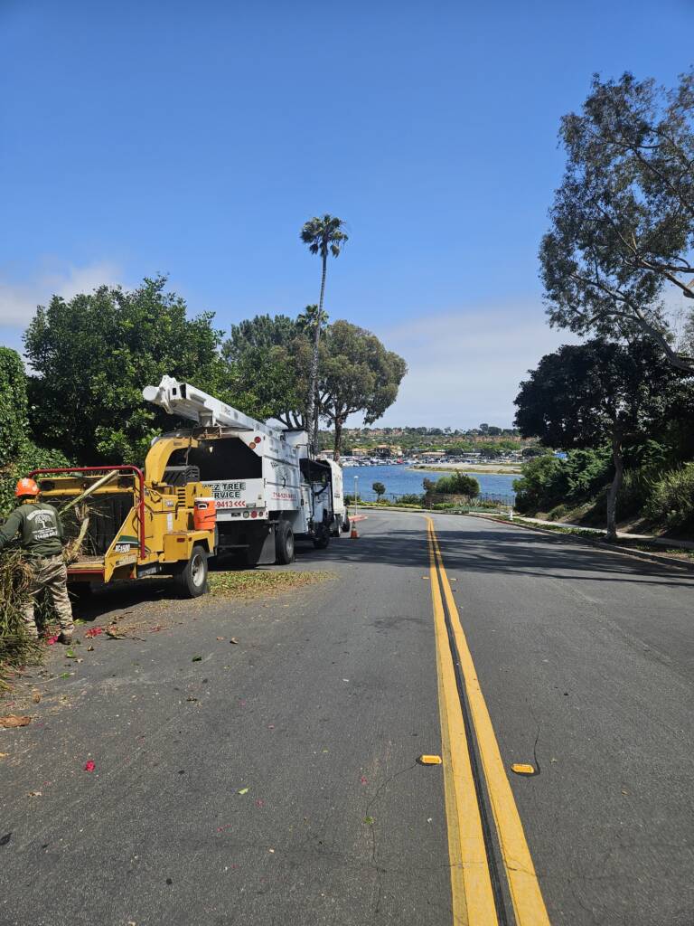 Trimming Trees With Precision and Safety - 