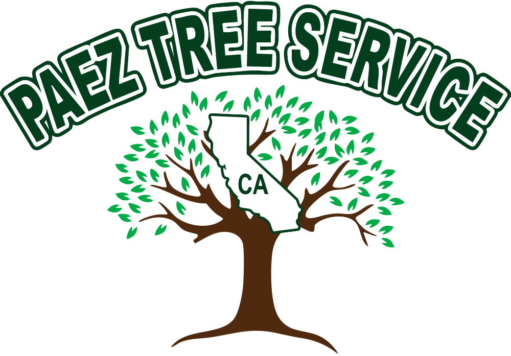 Paez-Tree-Service-Logo-2-1